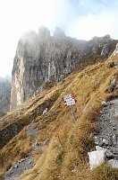 Giro ad anello del Monte Alben (9 novembre 08) - FOTOGALLERY